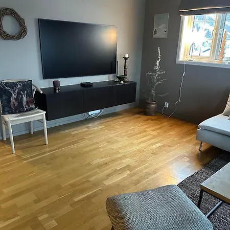 Apartman I 1 Etg Roldal