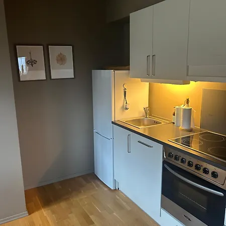 Apartman I 1 Etg Roldal Horre